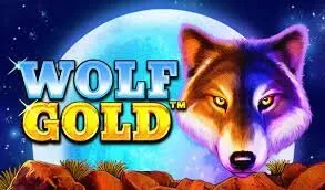 Wolf Gold - Złoty wilk